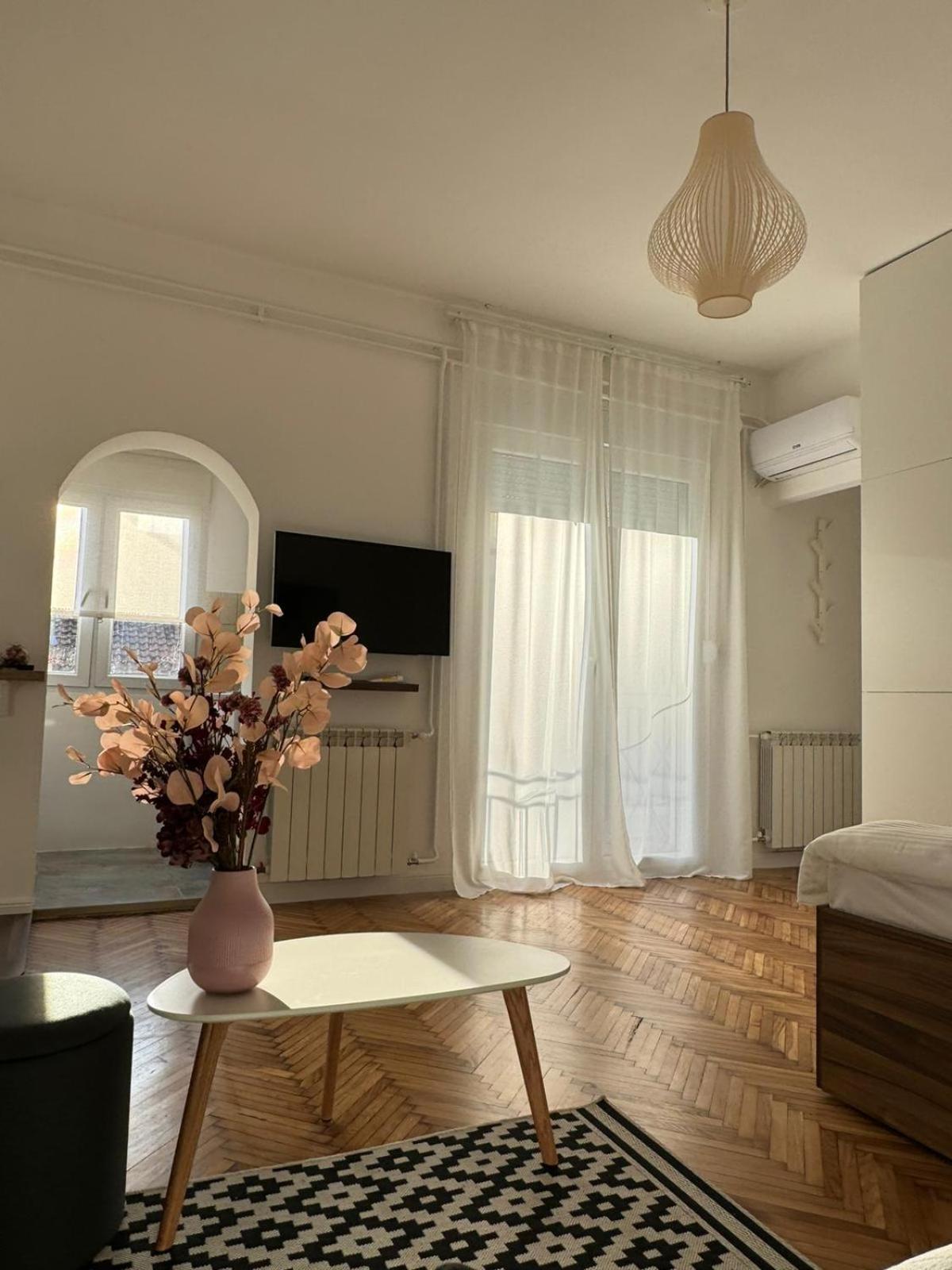 Balconia Sunny Apartment In Centre Of Belgrad Zewnętrze zdjęcie