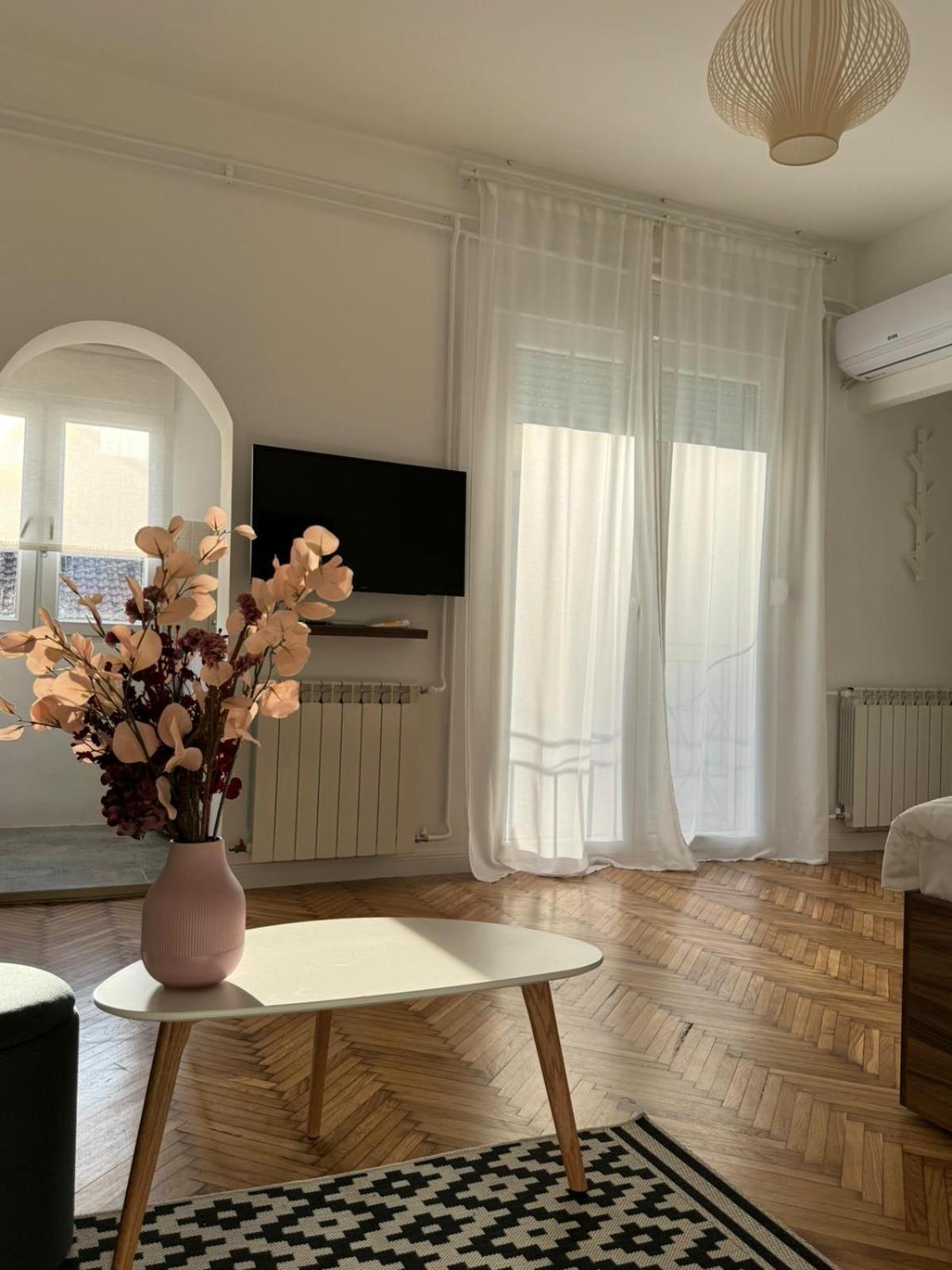 Balconia Sunny Apartment In Centre Of Belgrad Zewnętrze zdjęcie